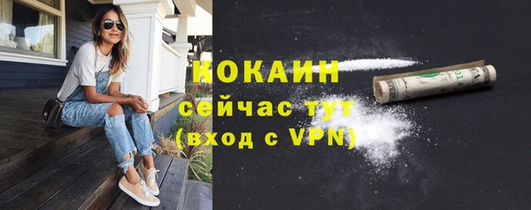 первитин Богородицк
