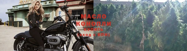 первитин Богородицк