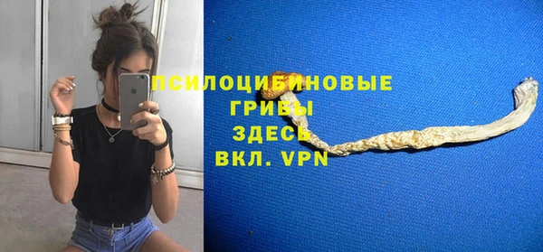 первитин Богородицк