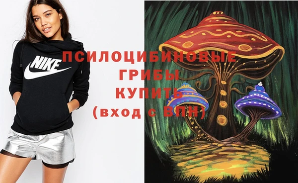 круглые Богородск